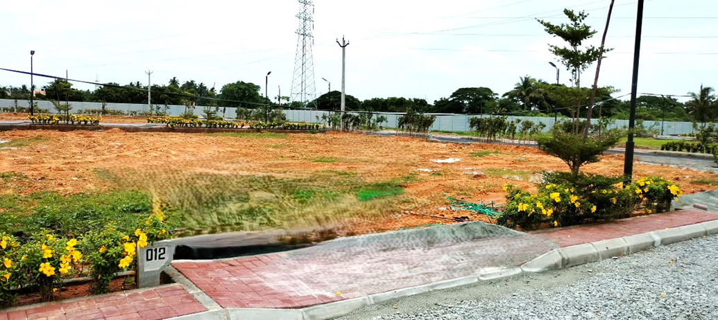 008_urbantreeambercountythirumazhiisaichennaiplotscopy